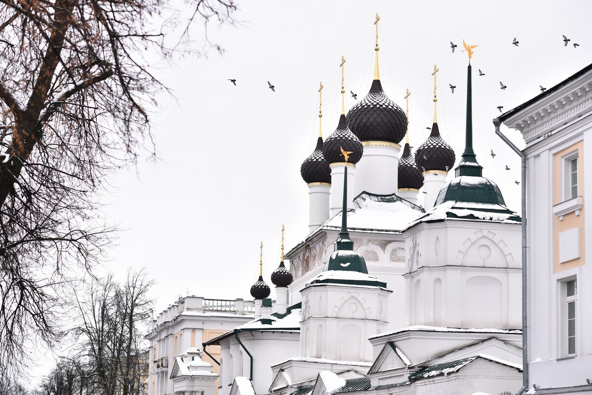 Турпоток в Ярославской области вырос более чем наполовину с начала 2025 года