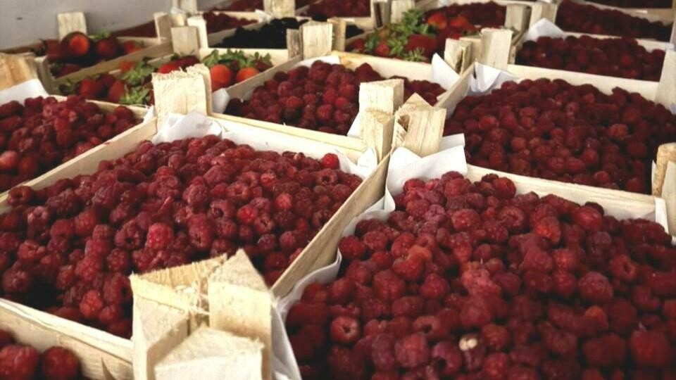 В Мурманскую область ввезли почти 2,5 тысячи тонн продуктов без нарушений