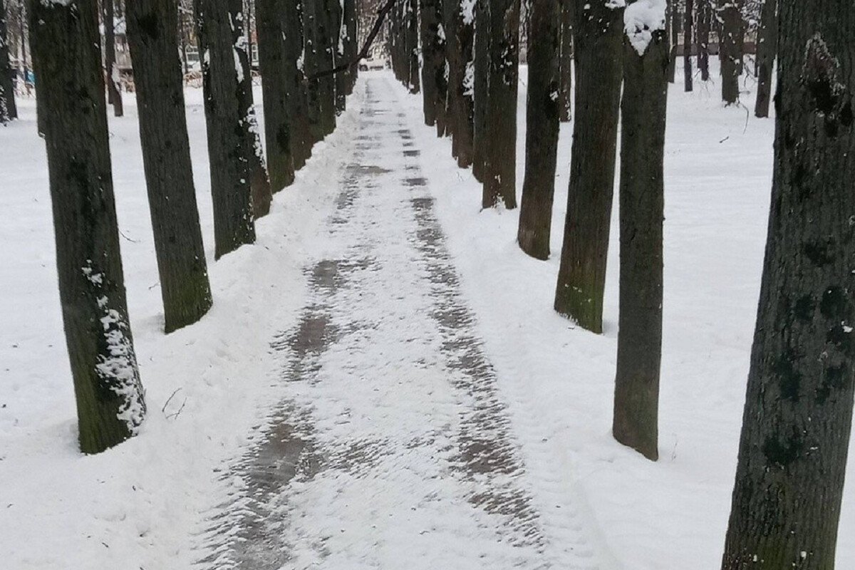 В Домодедове на уборку снега вышли почти 90 единиц техники