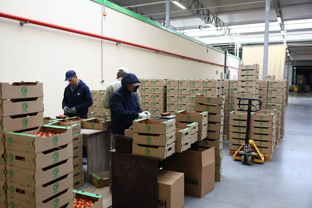 Корпорация развития Астраханской области в 2025 году перевыполнила план по нацпроекту