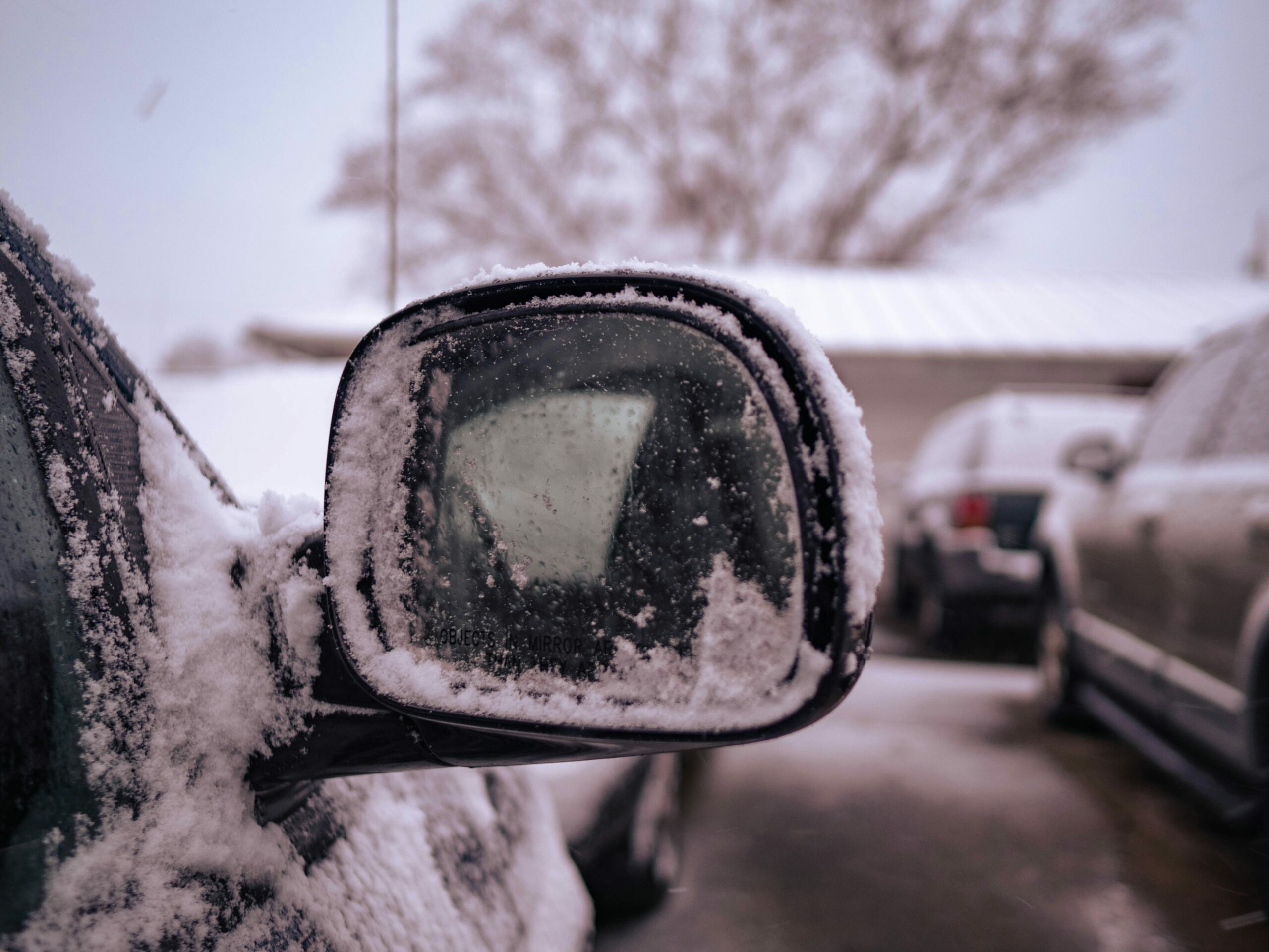 Авито: из-за циклона спрос на автоуслуги в Петербурге вырос более чем на 50%