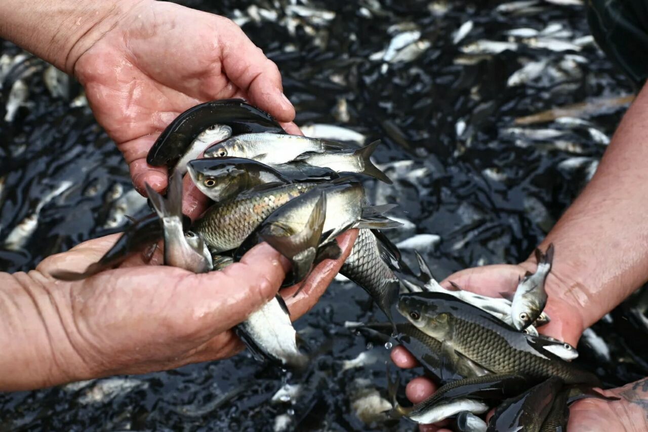 В Астраханской области обновили Красную книгу