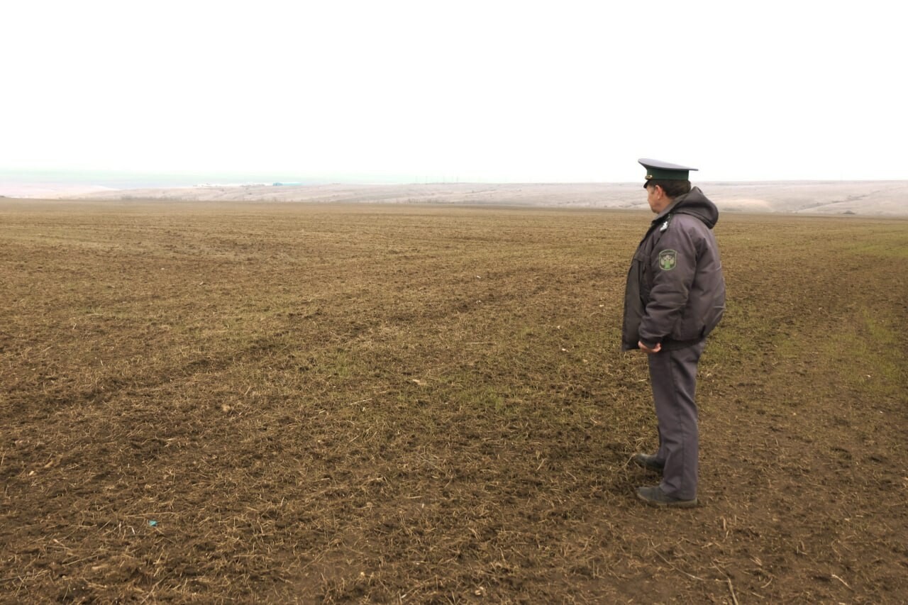 С жителя Ростовской области взыскали свыше шести миллионов за свалку на поле