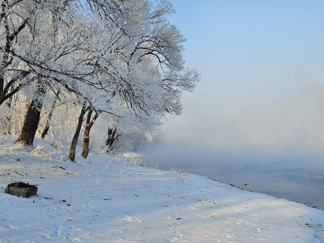 Глава Саяногорска Молодняков призвал не пускать детей в школу