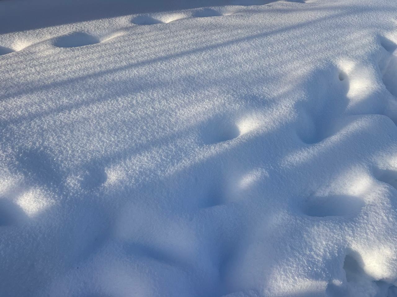 В Екатеринбурге 19 января ожидается до -20 градусов