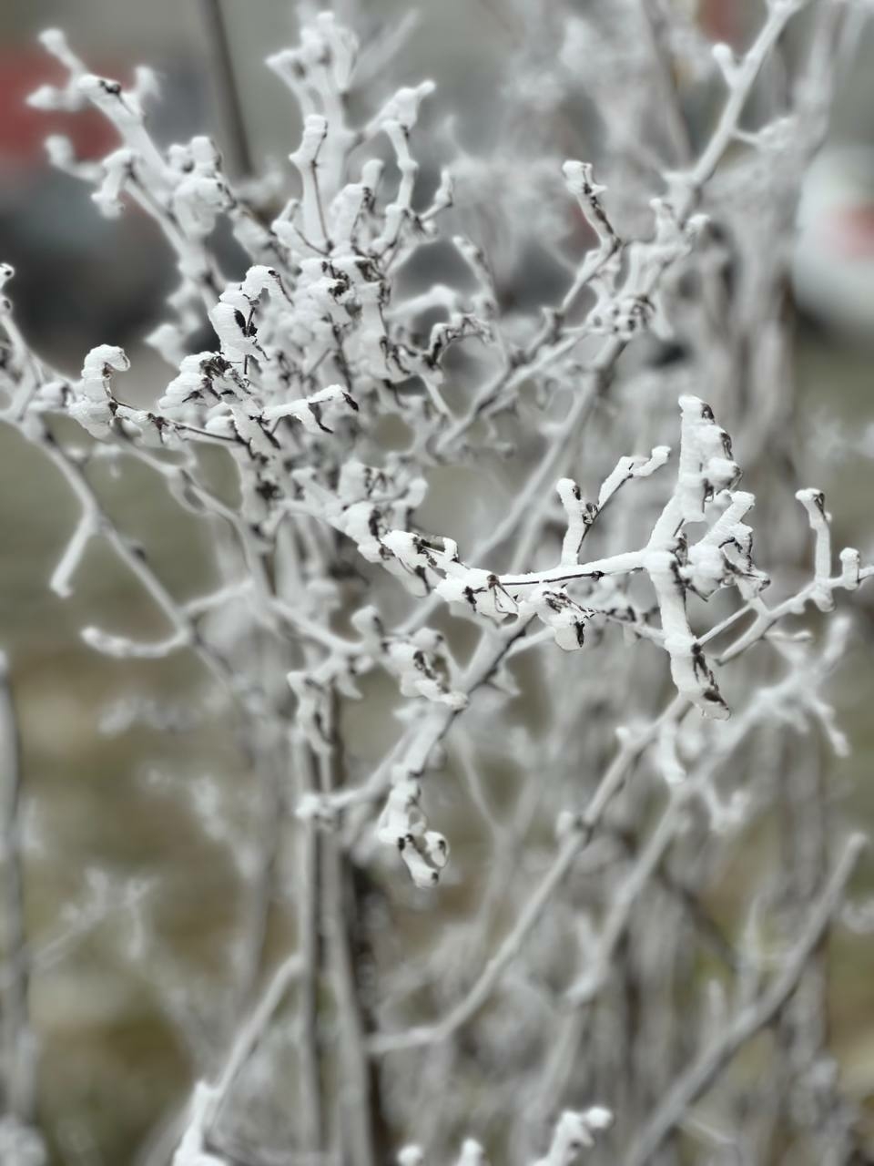 В Екатеринбурге 22 февраля ожидаются морозы до -25 градусов