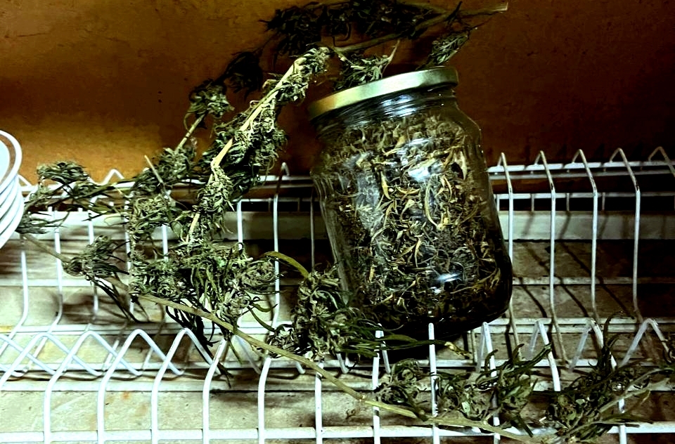 У астраханца на летней кухне нашли нарколабораторию