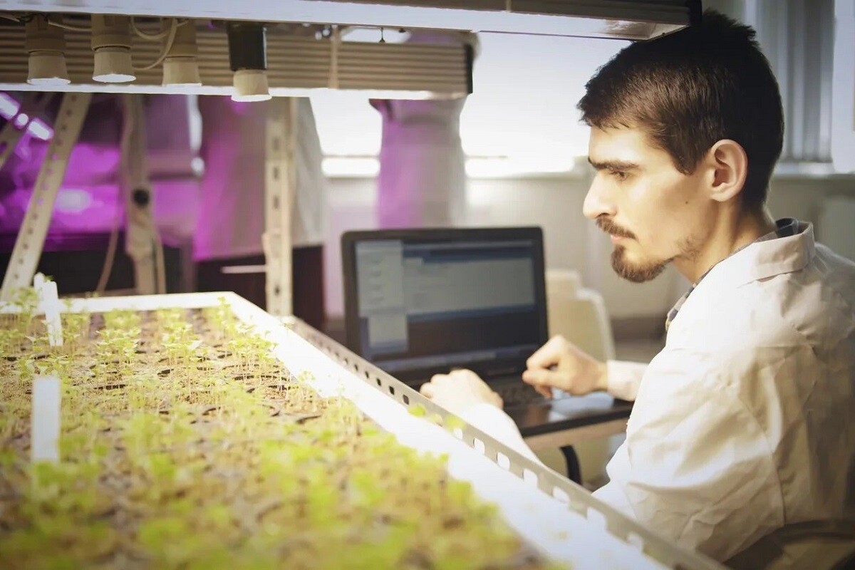 На стимулирующие выплаты вологодским ученым в АПК направят 4,6 миллиона рублей