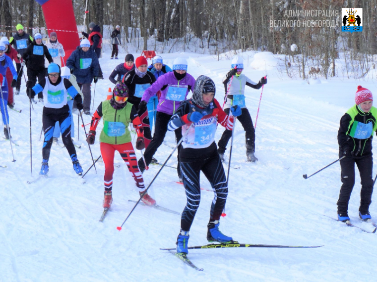 Около 400 новгородцев приняли участие в гонке «Лыжня России – 2026»