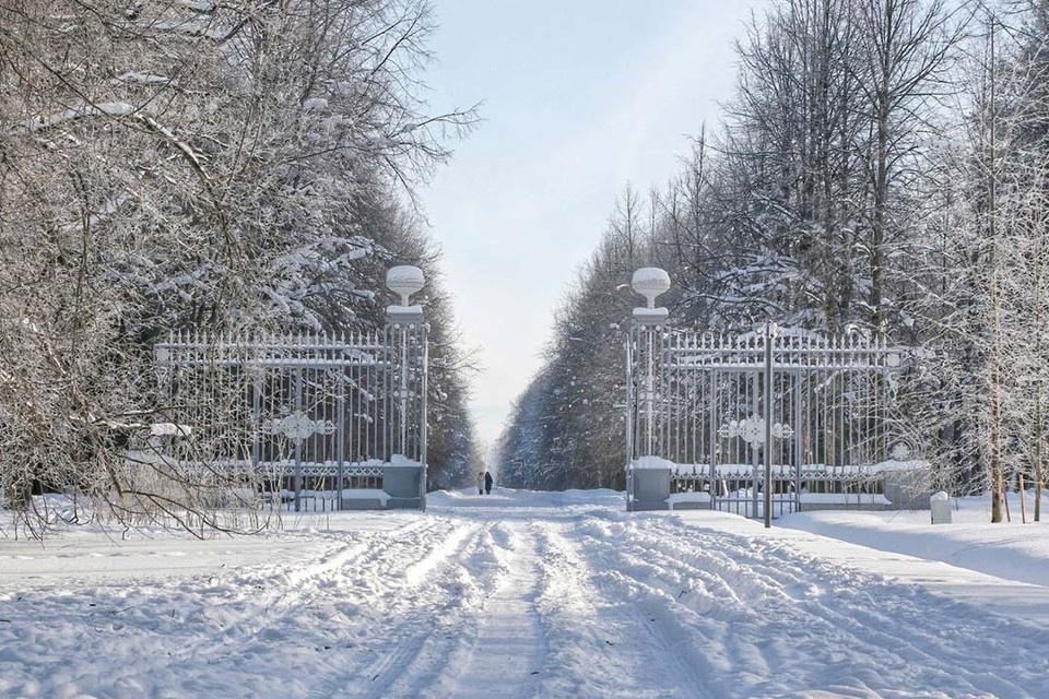 В Павловском парке после реставрации открыли Этюпские ворота