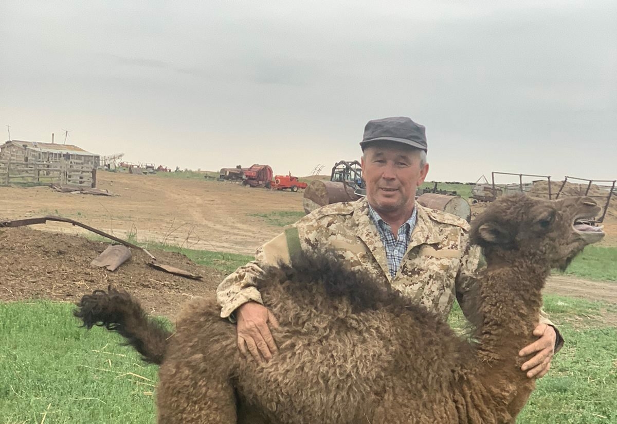 Астраханский фермер из Володарского района получил награды минсельхоза