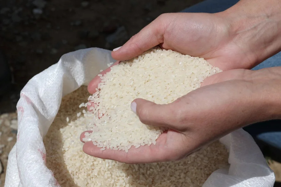«Астраханский рисовод» впервые с момента основания получил убыток