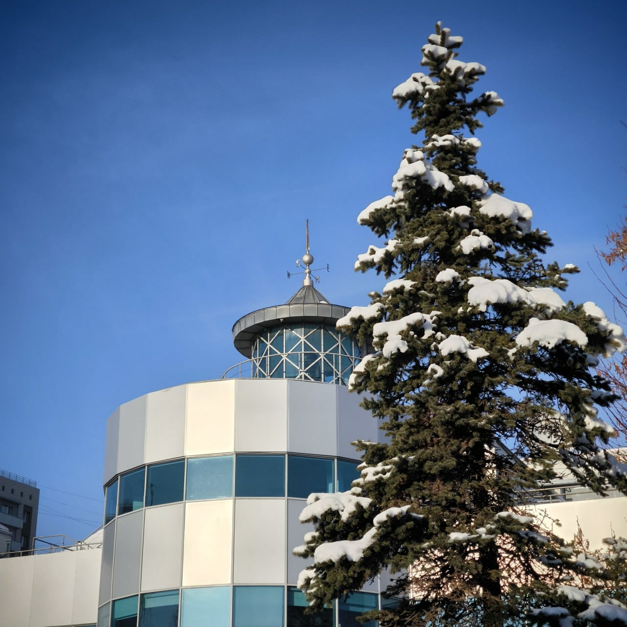 В Калининграде главный корпус Музея Мирового океана закроют до 13 февраля