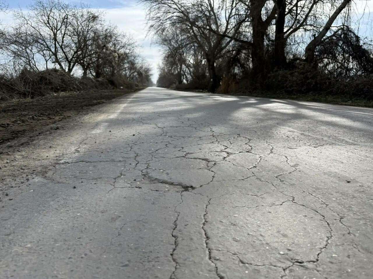 В Магарамкентском районе приведут в порядок дорогу к Самурскому лесу