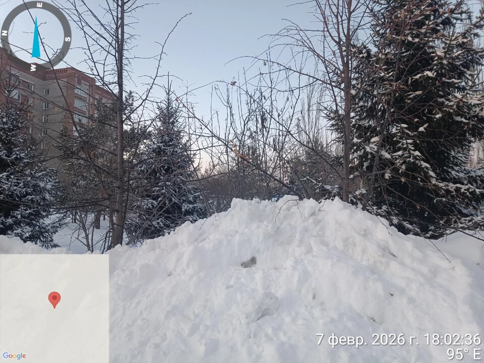 Власти Омска отложили разборки с убитыми деревьями