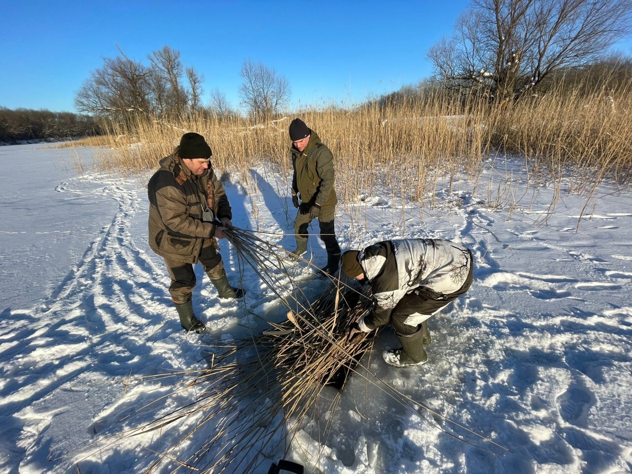 В Волгоградской области проводят аэрацию водоемов для защиты рыбы