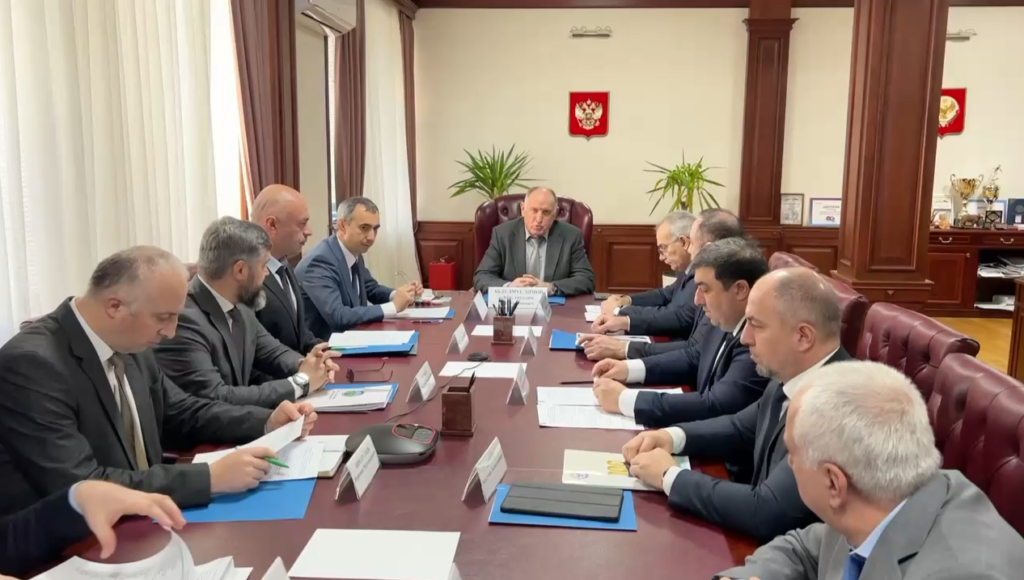 В Дагестане определили три задачи для развития виноградарства