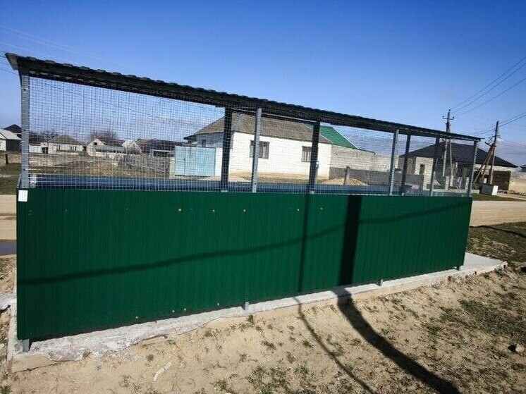 Дагестанские школьники написали письма бойцам в зону СВО