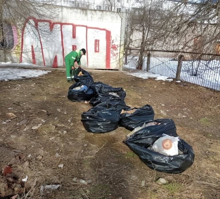 Александр Розбаум попросил новгородцев не мусорить