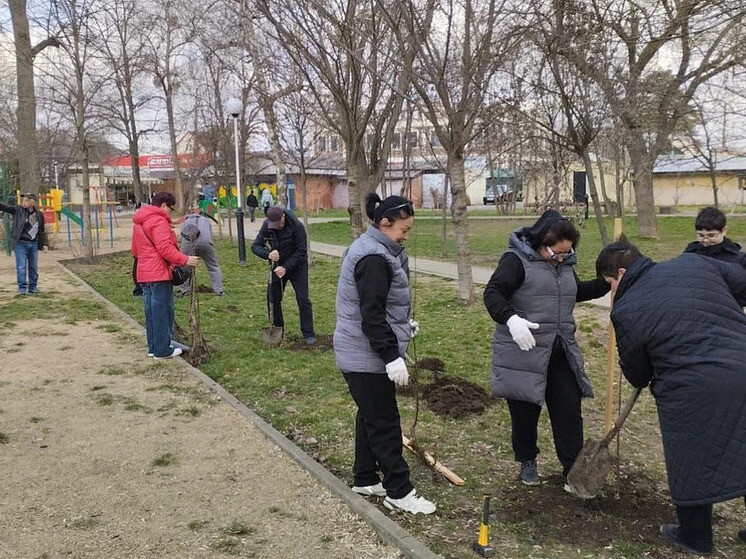 Краснодарцы высадили 500 яблонь в рамках субботника