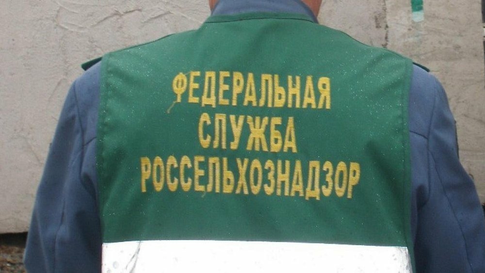 На Урале задержали крупную партию фиников из Казахстана