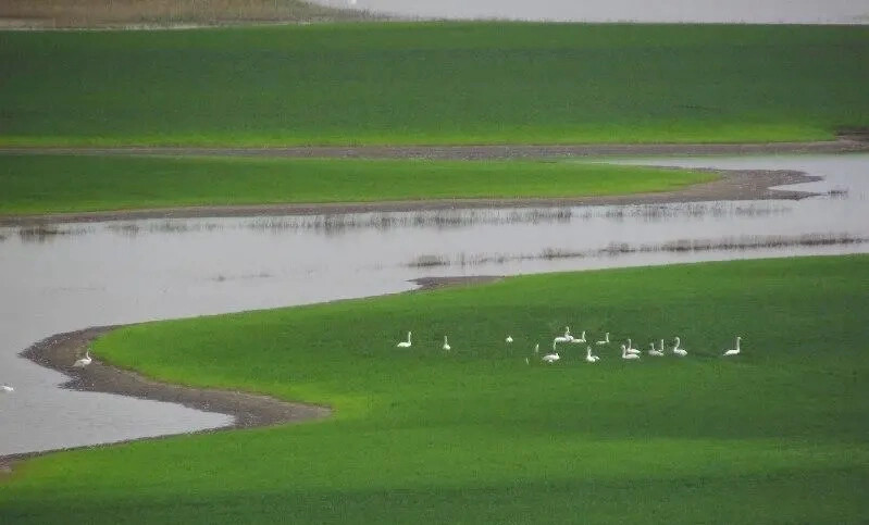 Краснодарский край отмечает Всемирный день водных ресурсов