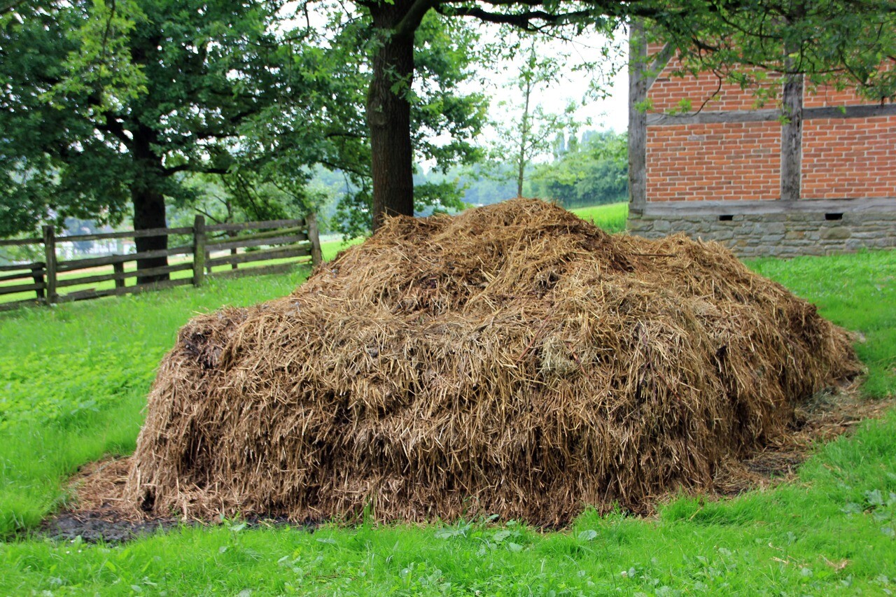 Тверских аграриев призвали усилить контроль за хранением навозаТверских аграриев