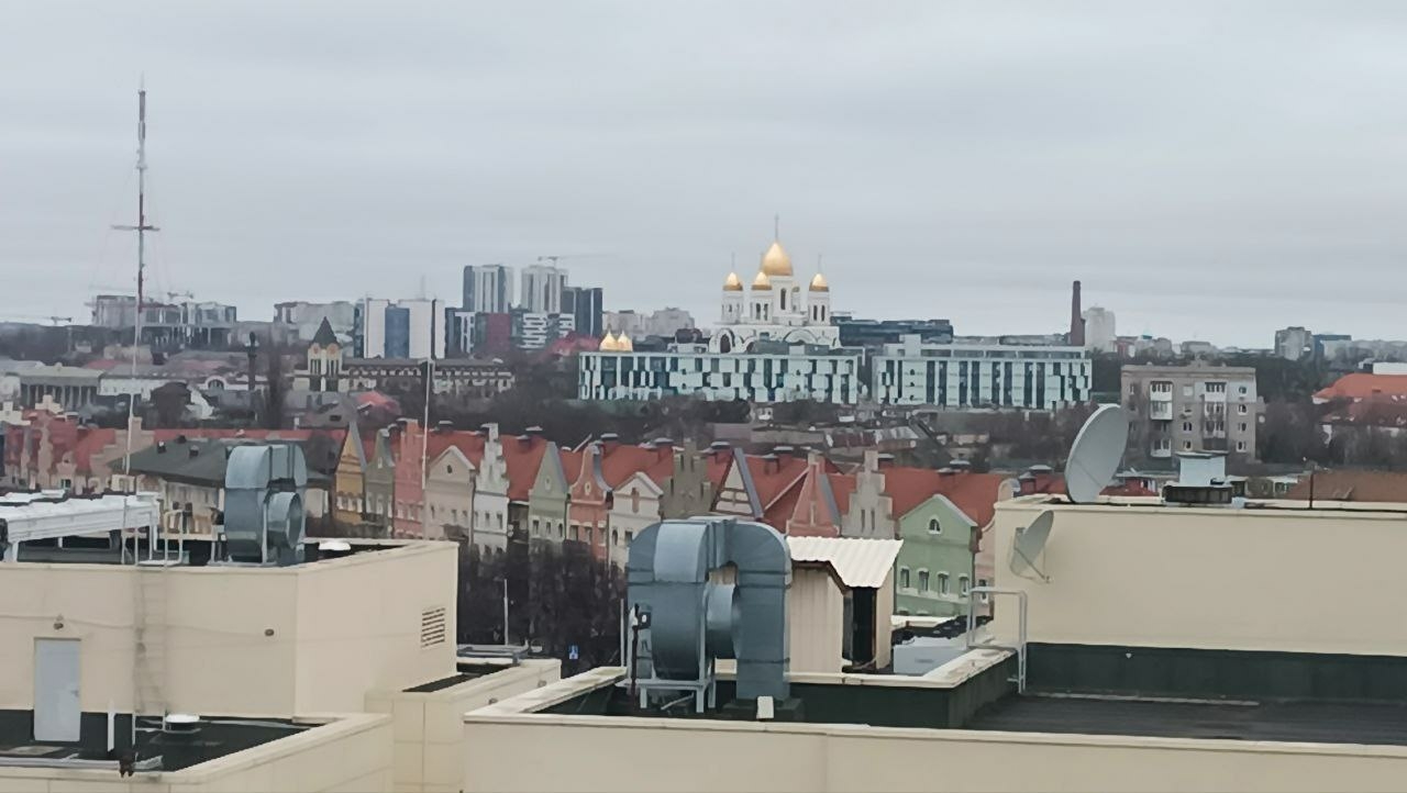 Глава администрации Калининграда Елена Дятлова 26 марта проведет прямой эфир