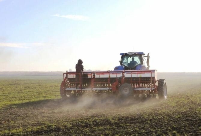 Аграриям Дагестана нужно 11 тысяч тонн семян для ярового сева