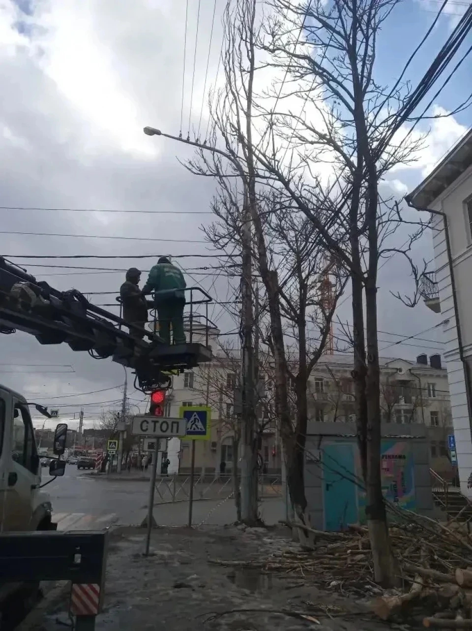 Более 300 аварийных деревьев опилили в Астрахани с начала года