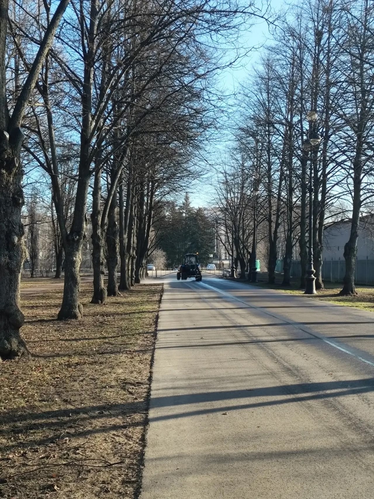 В Петербурге приводят в порядок Приморский парк Победы