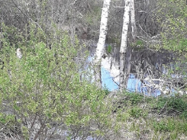 На очистку реки Ушаковка под Тюменью направят 65,3 млн рублей