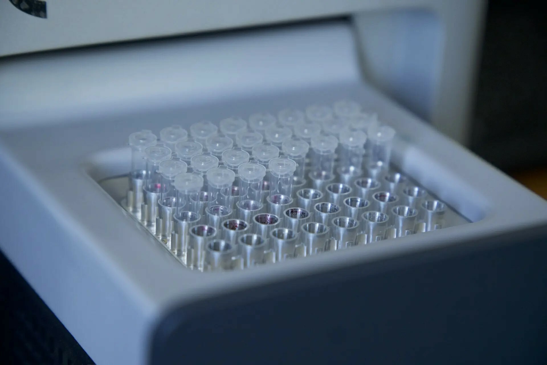 Студенты АГУ получают практический опыт в биомедицине и генетике