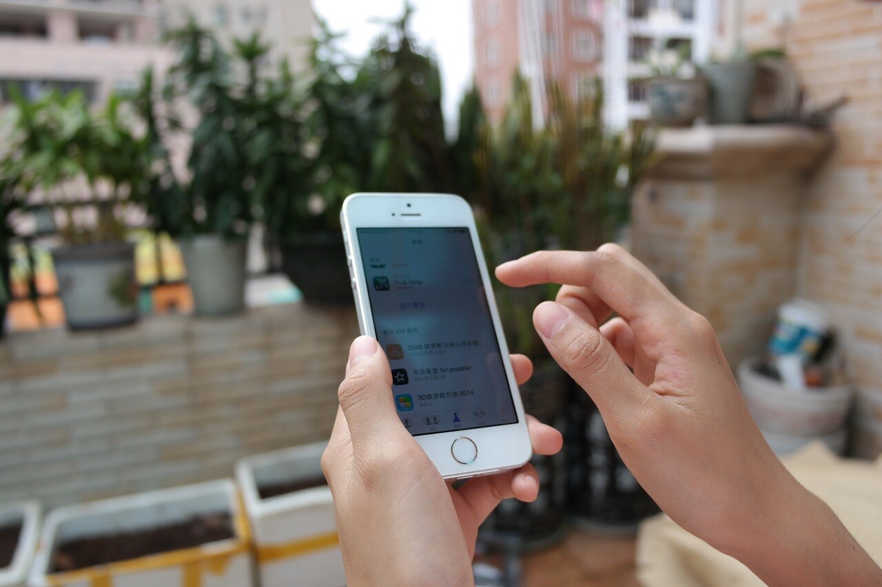 В Подмосковье обработку данных для экстренной соцпомощи можно одобрить онлайн