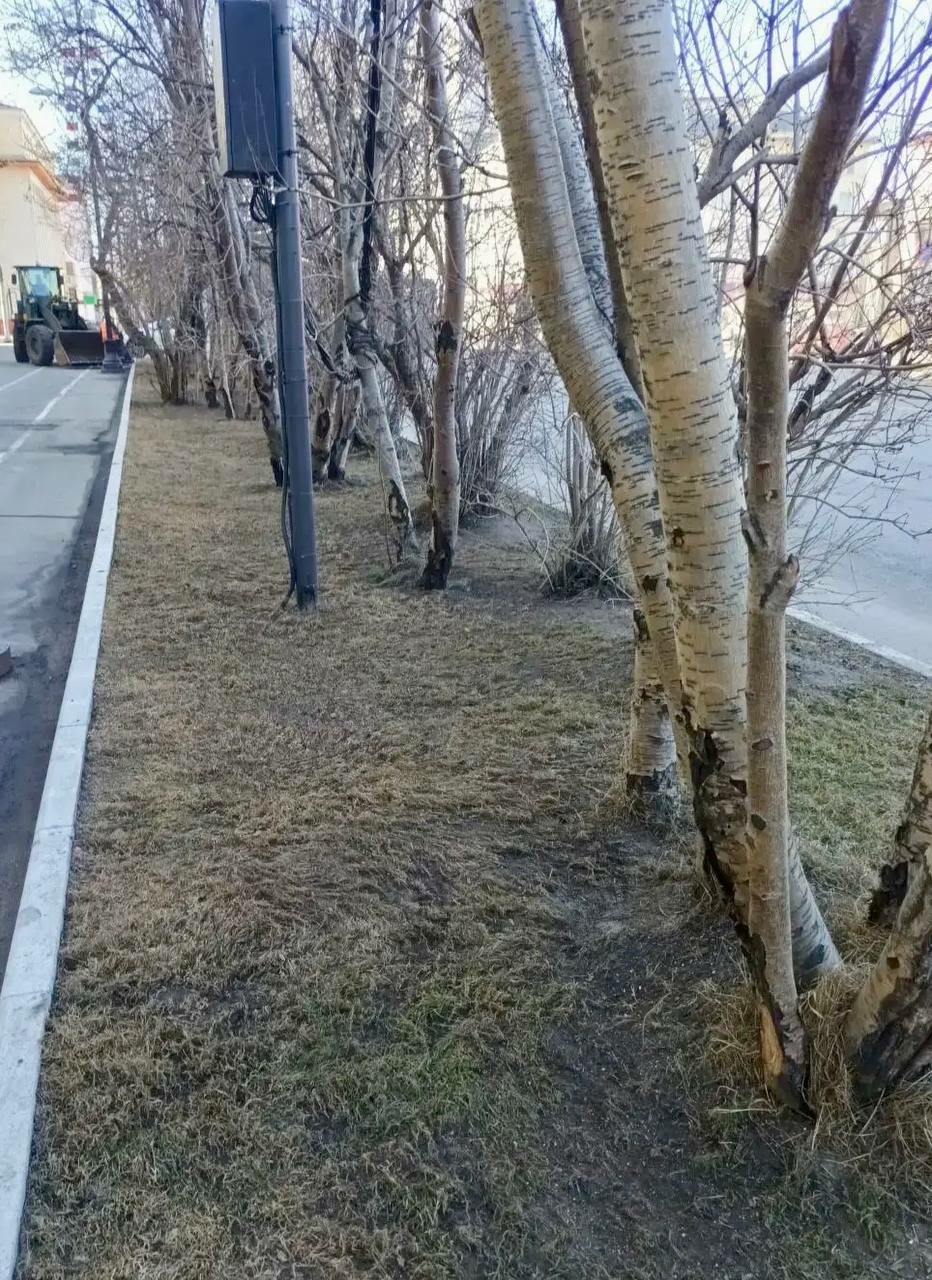 Иван Лебедев рассказал об уборке Мурманска в выходные