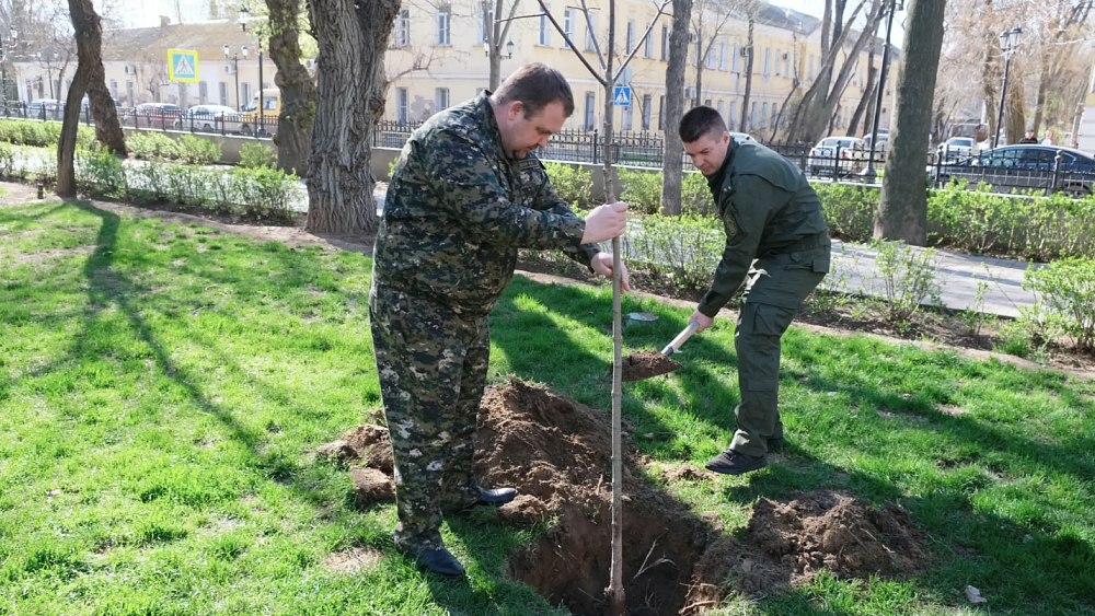 В Астрахани открыли аллею в честь 15-летия следственного комитета