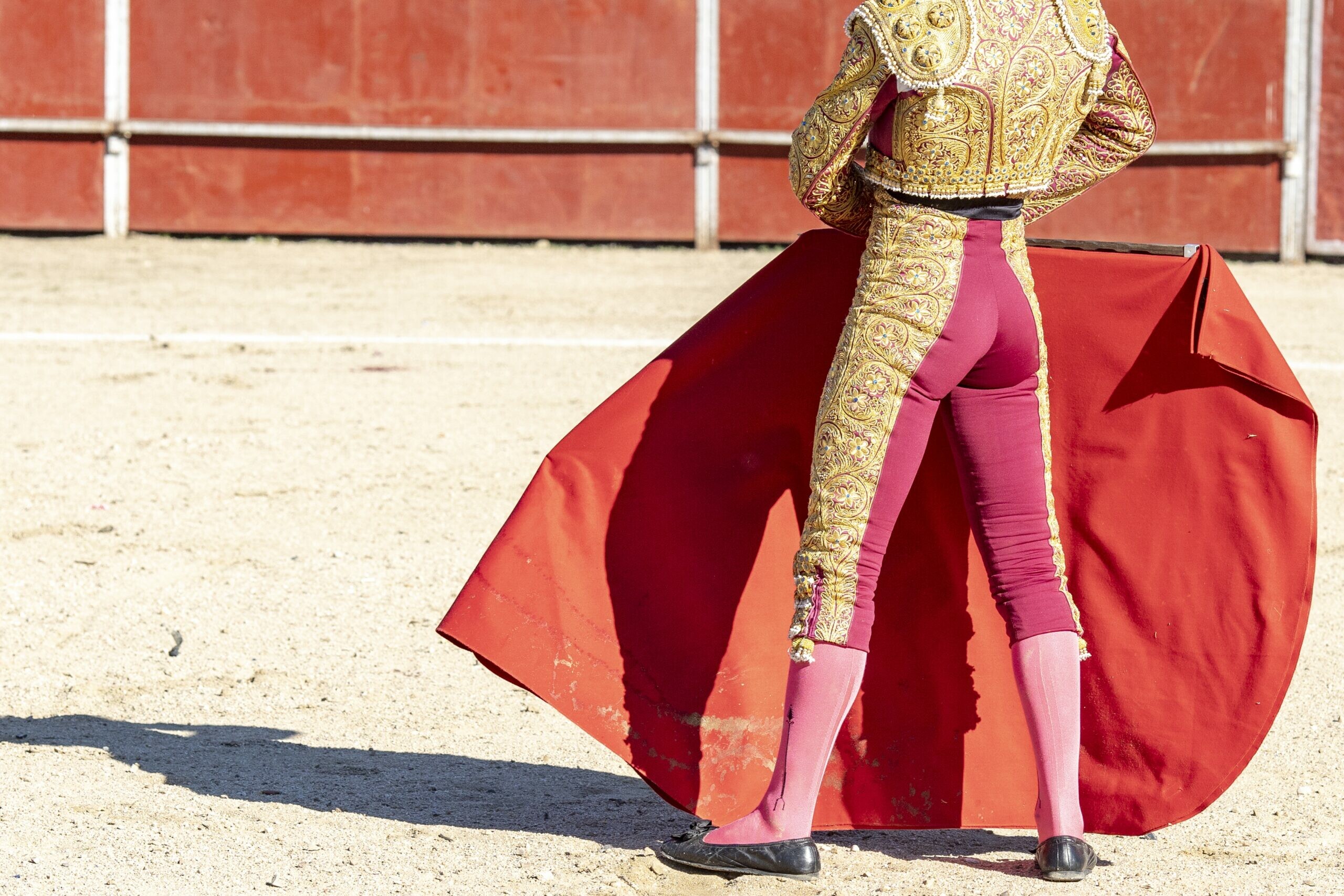 Бык чуть не убил тореадора во время корриды в Испании