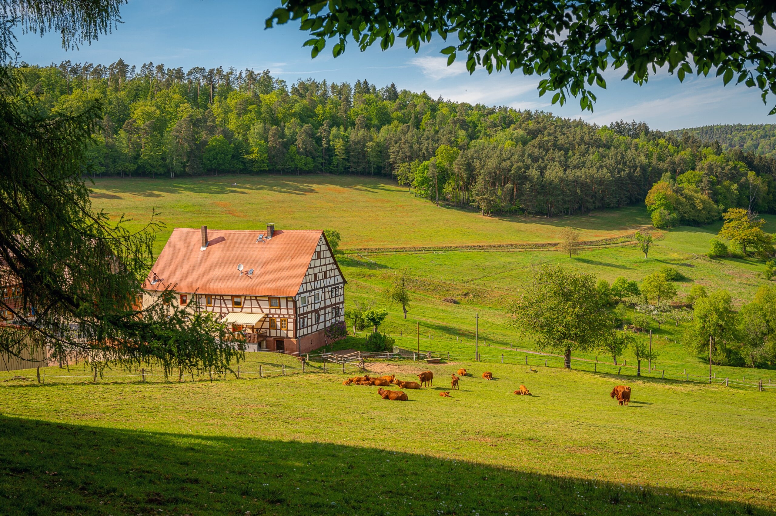 Депутат объяснила, почему россияне все чаще покидают столицу ради деревни