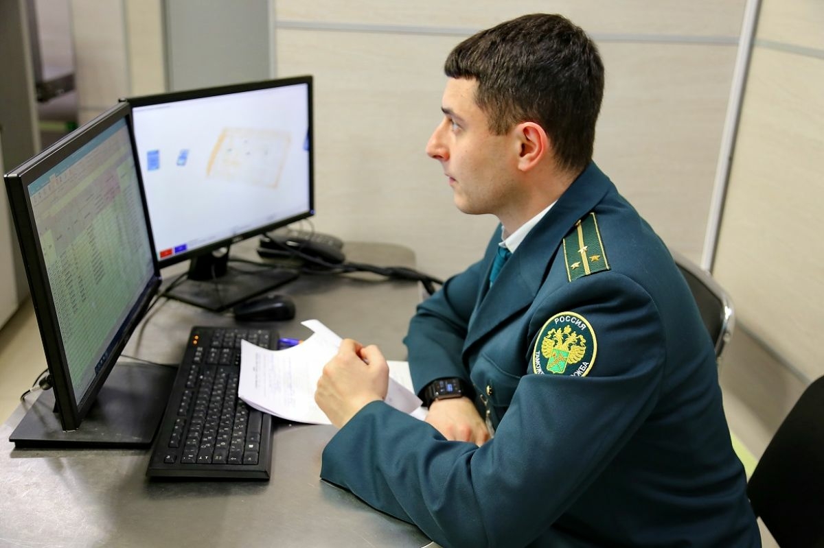 В Храброво предотвратили 70 попыток нелегального вывоза