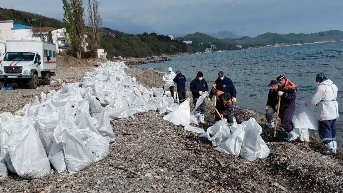 Оперативный штаб Кубани рассказал о ситуации в Туапсе после пожара