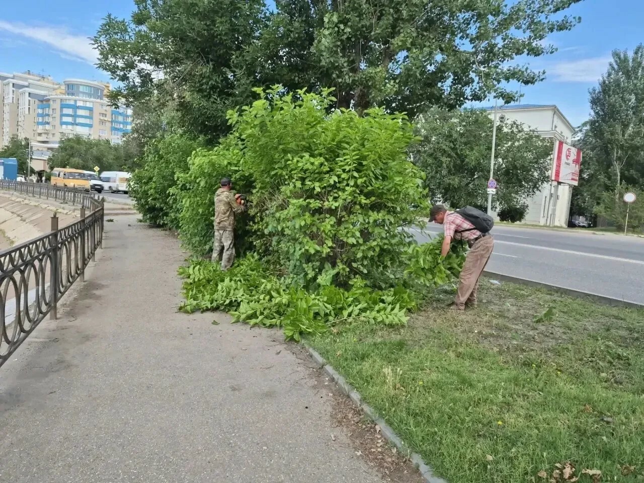 В Астрахани убирают ветки закрывающие дорожные знаки и светофоры
