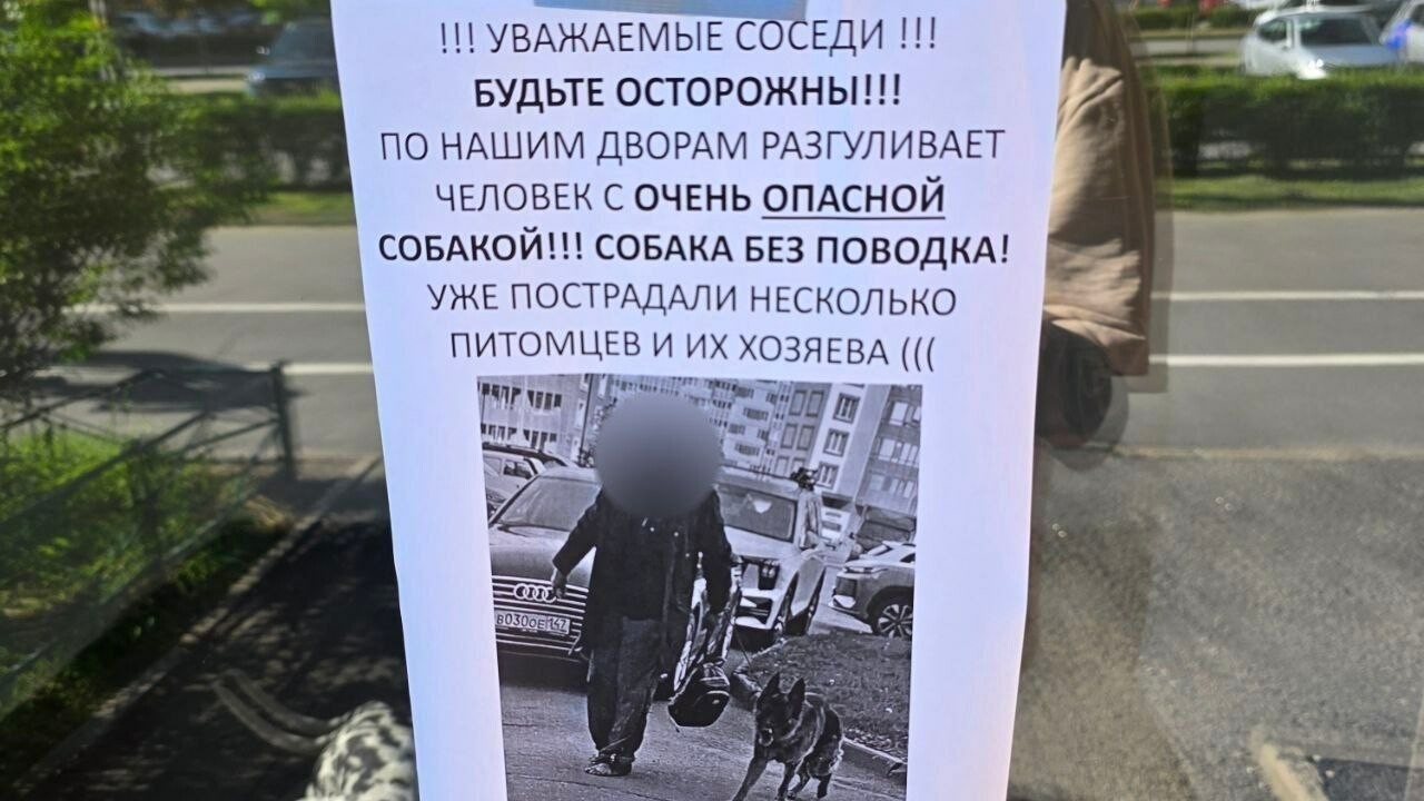 В Мурино агрессивная овчарка терроризирует собак и их владельцев