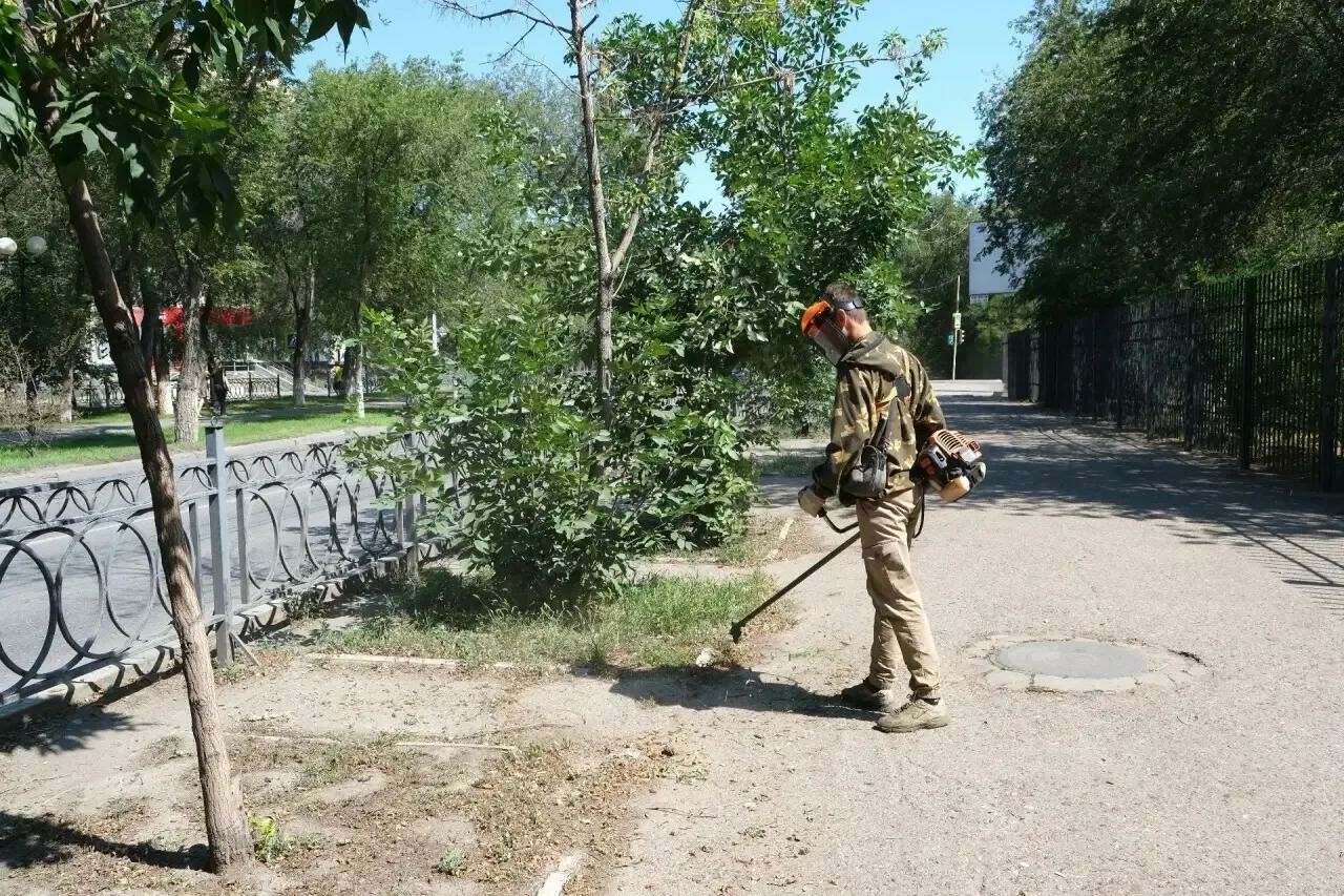 Дождливое лето заставило коммунальщиков Астрахани косить траву без остановки
