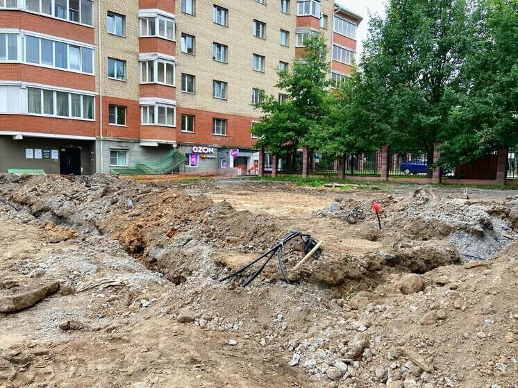 В Череповце у Центра боевых искусств построят парк в китайской стилистике