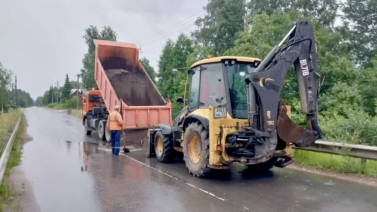 Более 280 аварийных деревьев убрали с региональных дорог Новгородской области