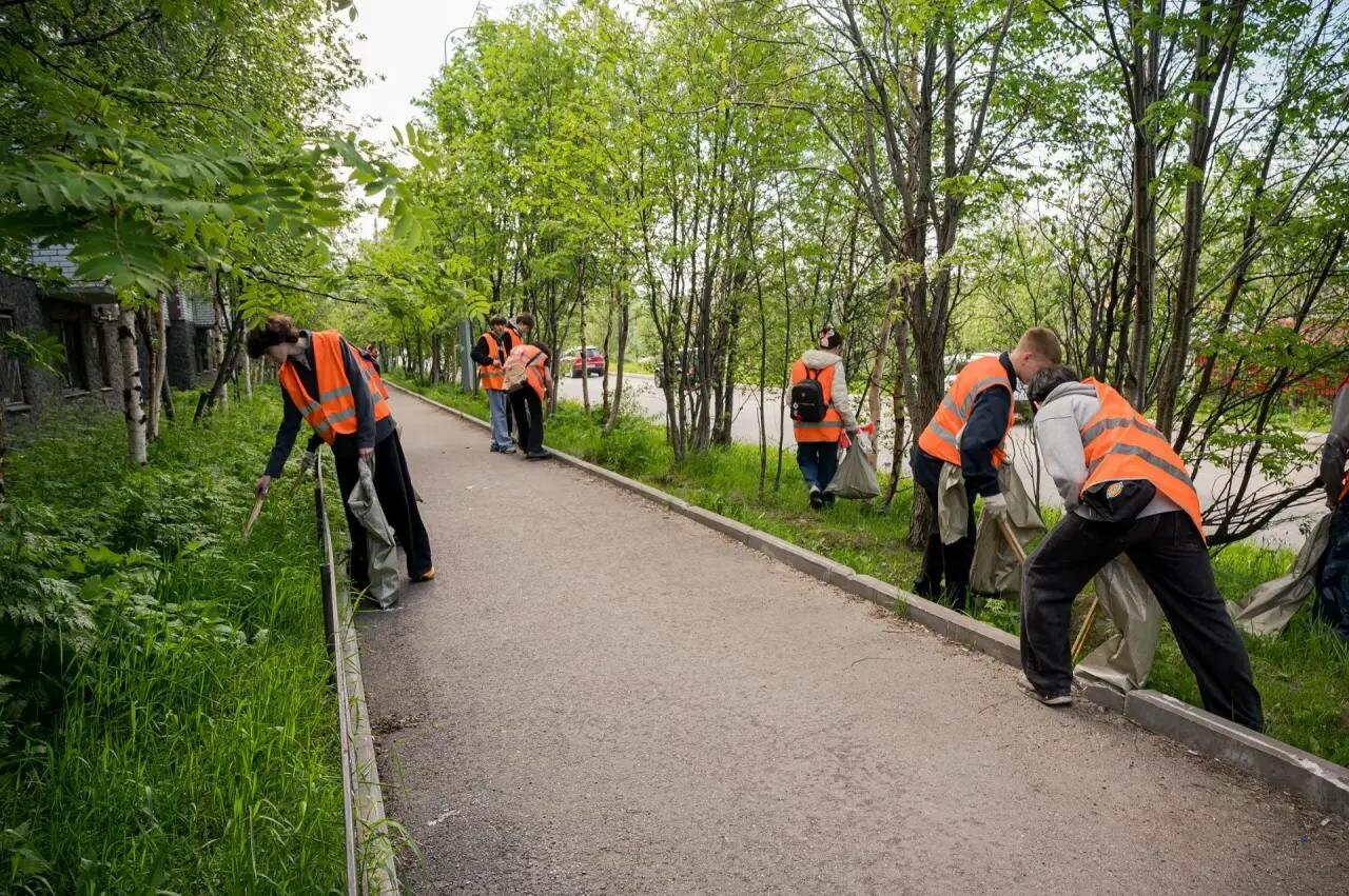 В Мурманске с начала года трудоустроили 570 человек по проекту «Работа рядом»