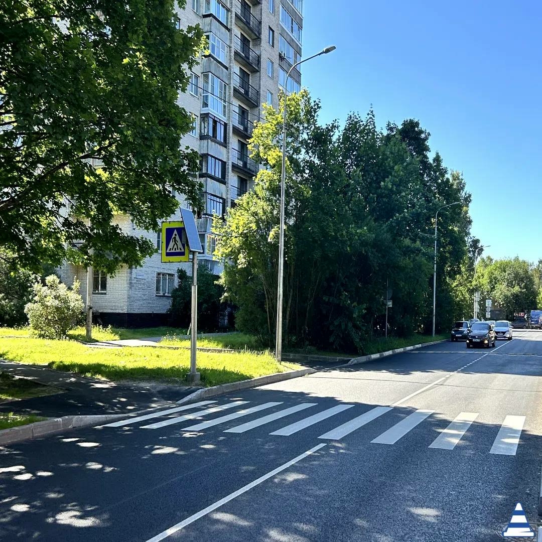 Новые «зебры» появились в пяти районах Петербурга