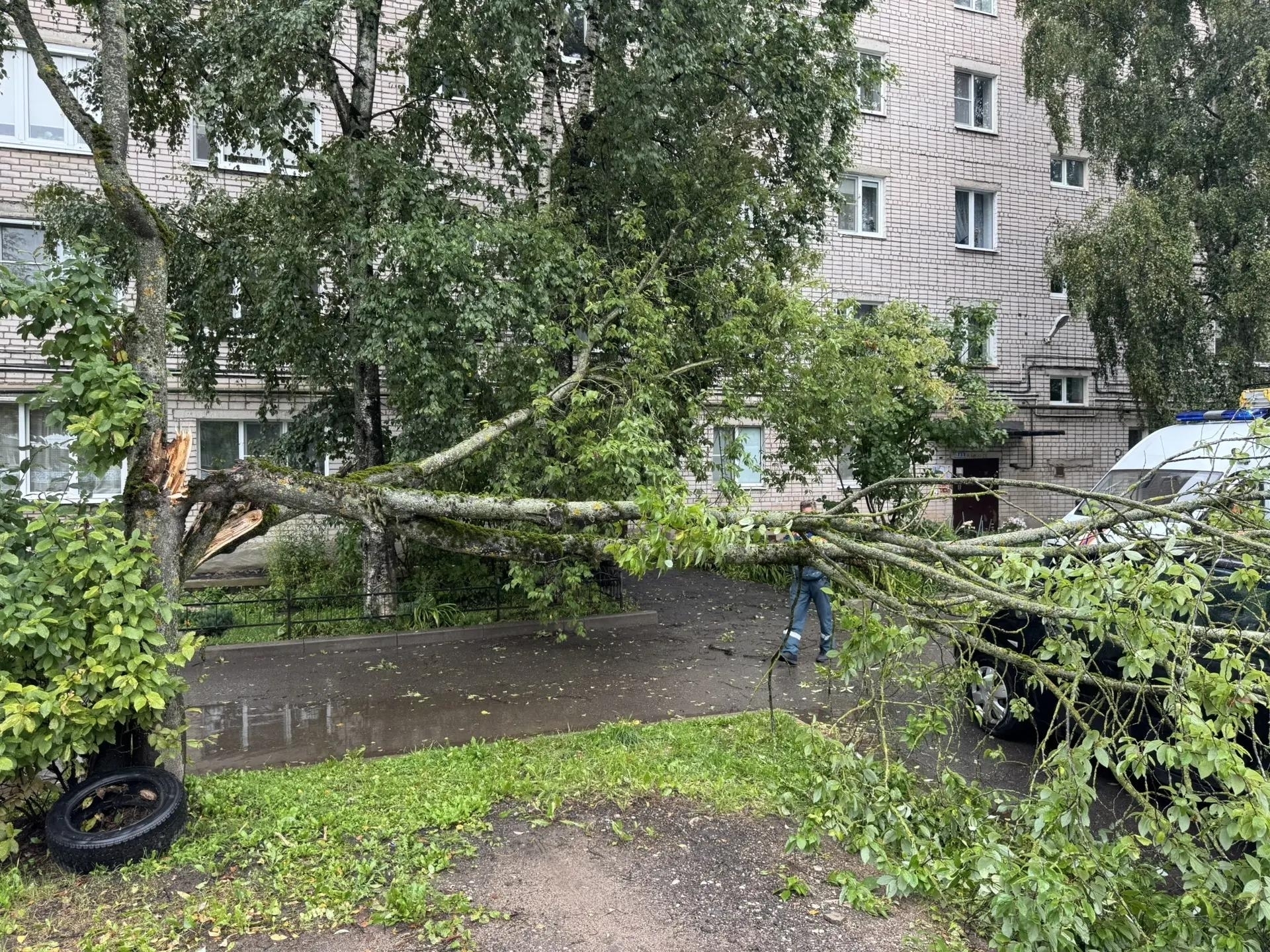 Коммунальные службы Великого Новгорода переведены в режим повышенной готовности