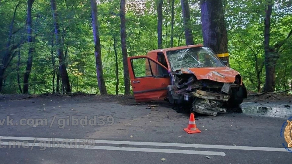 В Зеленоградском районе водитель «Форда» погиб после наезда на дерево