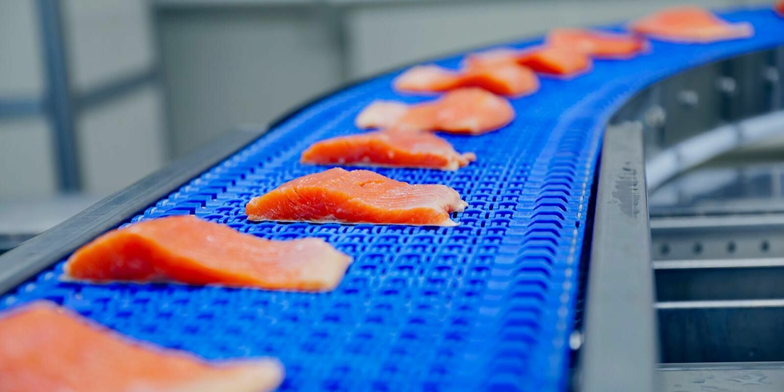 Более 11 тыс. тонн морепродуктов направило московское предприятие в регионы